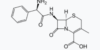 Cefalexin