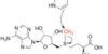 S-Adenosyl methionine (SAM-e)